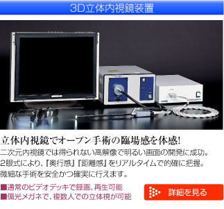 3D̓u